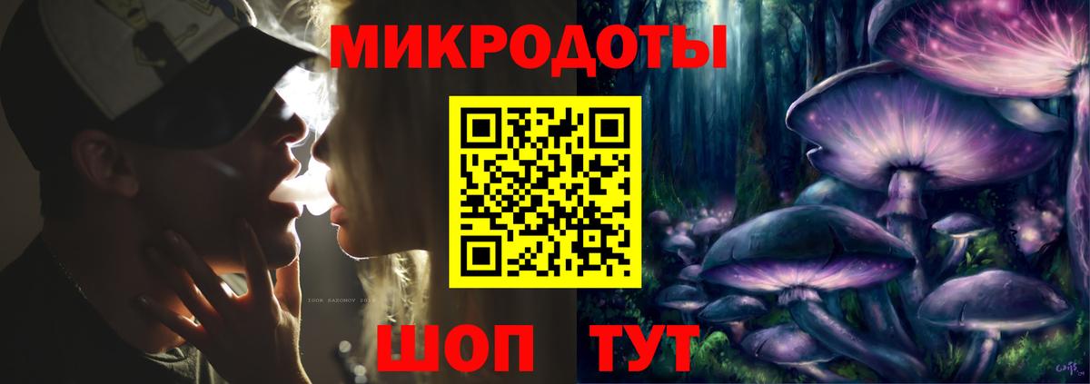 Галлюциногенные грибы Psilocybe Губаха
